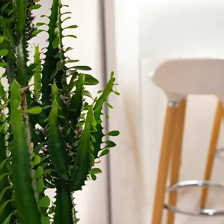 Beautiful Place In The Heart Of The City!!!! 公寓