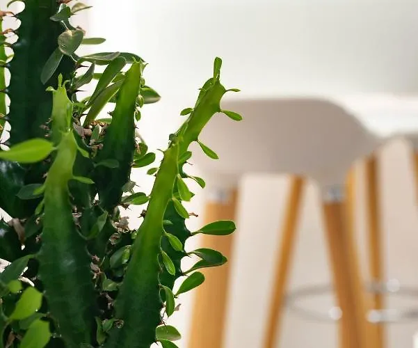 Beautiful Place In The Heart Of The City!!!! 公寓