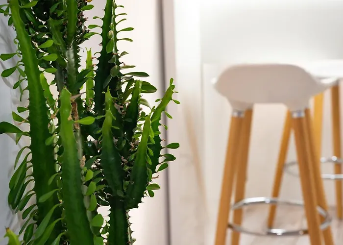 Beautiful Place In The Heart Of The City!!!! 公寓