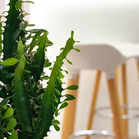 Beautiful Place In The Heart Of The City!!!! Apartman